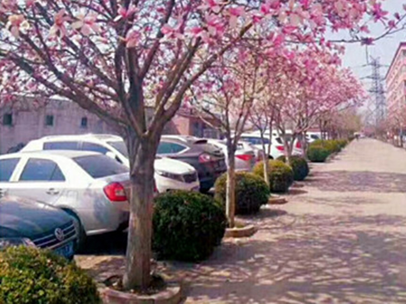 1月3日鋼材市場(chǎng)價(jià)格預(yù)測(cè)